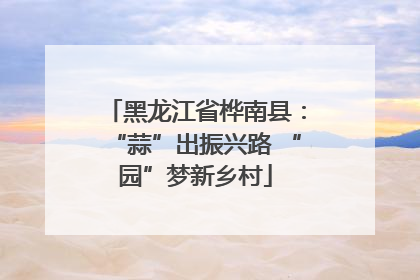 黑龙江省桦南县：“蒜”出振兴路 “园”梦新乡村