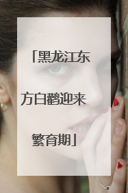 黑龙江东方白鹳迎来繁育期