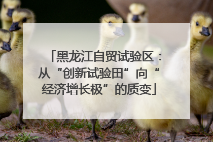 黑龙江自贸试验区：从“创新试验田”向“经济增长极”的质变