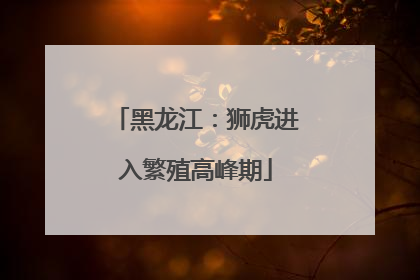 黑龙江：狮虎进入繁殖高峰期