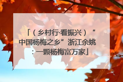 （乡村行·看振兴）“中国杨梅之乡”浙江余姚：一颗杨梅富万家