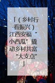 （乡村行·看振兴）江西安福“小西瓜”撬动乡村共富“大支点”