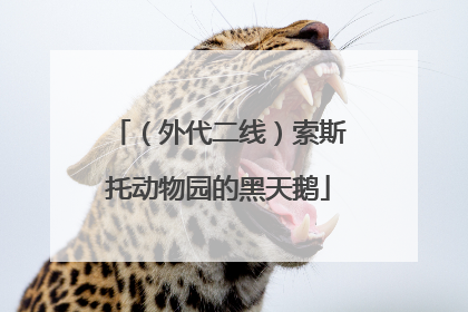 （外代二线）索斯托动物园的黑天鹅