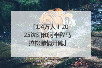 1.4万人！2025沈阳和河半程马拉松激情开跑