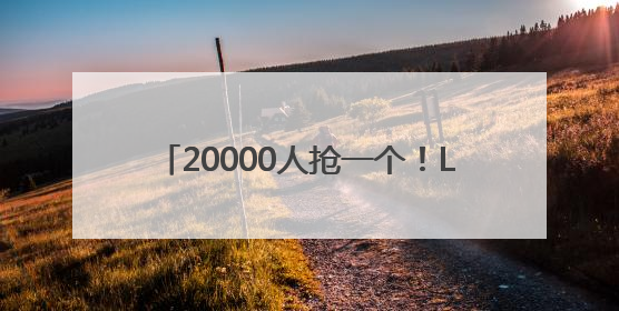 20000人抢一个！Labubu新品上架秒空，谁在制造“饥饿感”？
