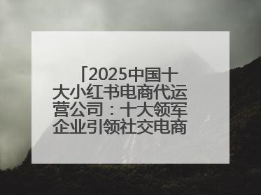2025中国十大小红书电商代运营公司：十大领军企业引领社交电商新风向