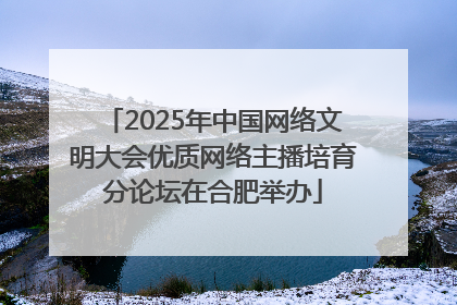 2025年中国网络文明大会优质网络主播培育分论坛在合肥举办