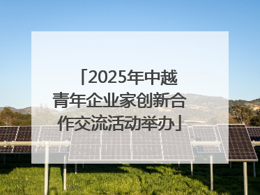 2025年中越青年企业家创新合作交流活动举办