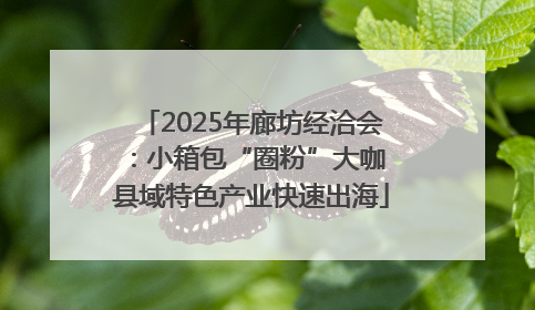 2025年廊坊经洽会：小箱包“圈粉”大咖 县域特色产业快速出海