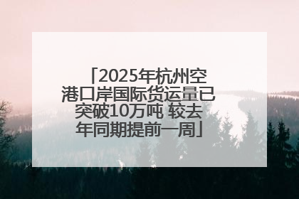 2025年杭州空港口岸国际货运量已突破10万吨 较去年同期提前一周