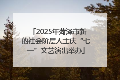 2025年菏泽市新的社会阶层人士庆“七一”文艺演出举办