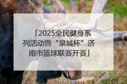 2025全民健身系列活动暨“泉城杯”济南市篮球联赛开赛