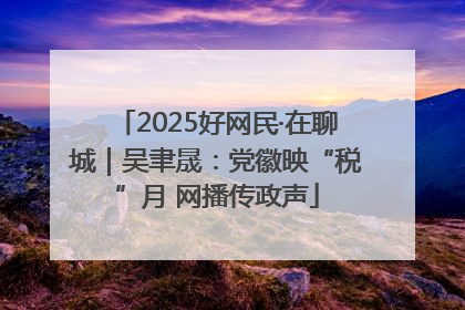 2025好网民·在聊城｜吴聿晟：党徽映“税”月 网播传政声