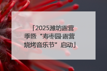 2025潍坊露营季暨“寿枣园·露营烧烤音乐节”启动