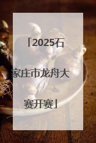 2025石家庄市龙舟大赛开赛