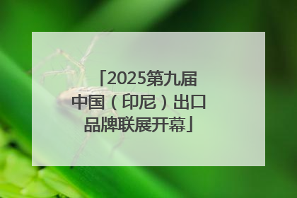 2025第九届中国（印尼）出口品牌联展开幕
