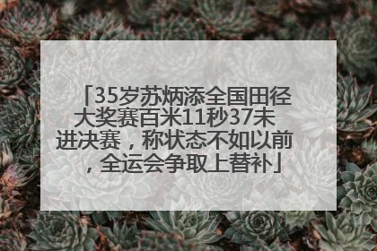 35岁苏炳添全国田径大奖赛百米11秒37未进决赛，称状态不如以前，全运会争取上替补