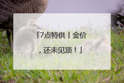 7点特供丨金价，还未见顶！