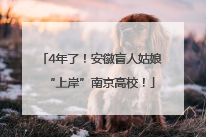 4年了！安徽盲人姑娘“上岸”南京高校！