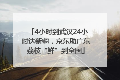 4小时到武汉24小时达新疆，京东助广东荔枝“鲜”到全国