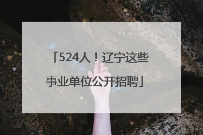 524人！辽宁这些事业单位公开招聘