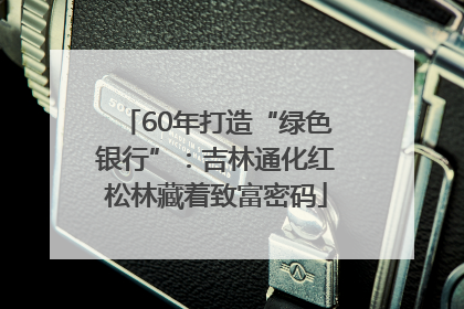 60年打造“绿色银行”：吉林通化红松林藏着致富密码