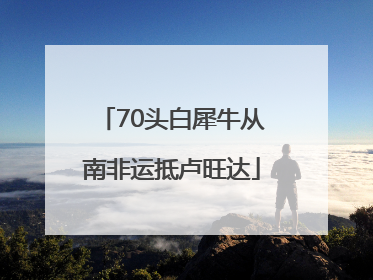 70头白犀牛从南非运抵卢旺达