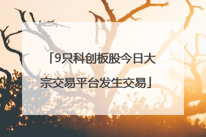9只科创板股今日大宗交易平台发生交易