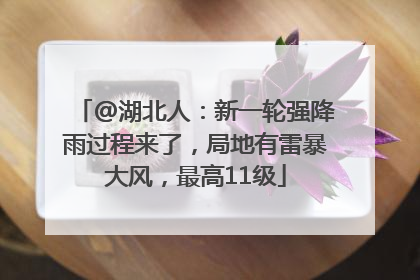 @湖北人：新一轮强降雨过程来了，局地有雷暴大风，最高11级