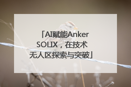 AI赋能Anker SOLIX，在技术无人区探索与突破