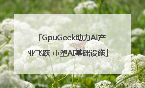 GpuGeek助力AI产业飞跃 重塑AI基础设施