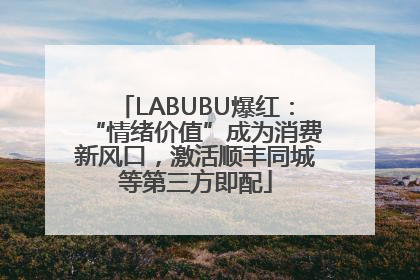 LABUBU爆红：“情绪价值”成为消费新风口，激活顺丰同城等第三方即配