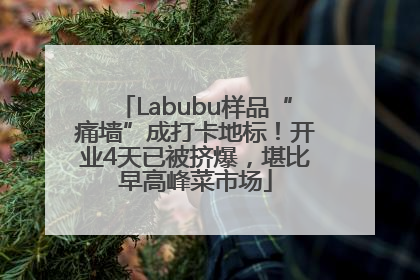 Labubu样品“痛墙”成打卡地标！开业4天已被挤爆，堪比早高峰菜市场